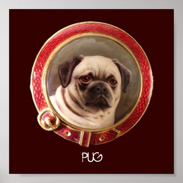 Poster RETRA TOS MINIATURA DE CÃES Vitorianos Pug (Frente)