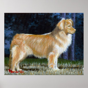 Póster Retrato anunciando do cão do Retriever do pato de