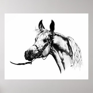 Poster Retrato árabe em Caneta e tinta