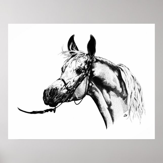 Poster Retrato árabe em Caneta e tinta (Frente)