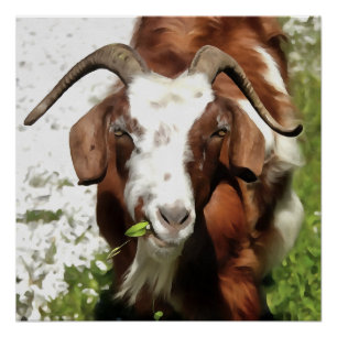 Póster Retrato Artístico Whimsical De Um Grazing De Cabra