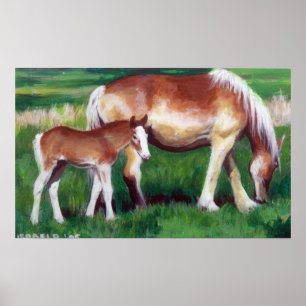 Poster Retrato belga do cavalo da égua e do potro