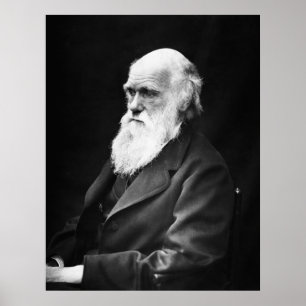 Póster Retrato Charles Darwin