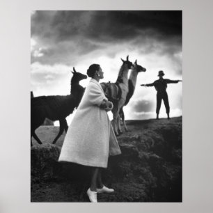 Poster Retrato da Moda peruana, 1952