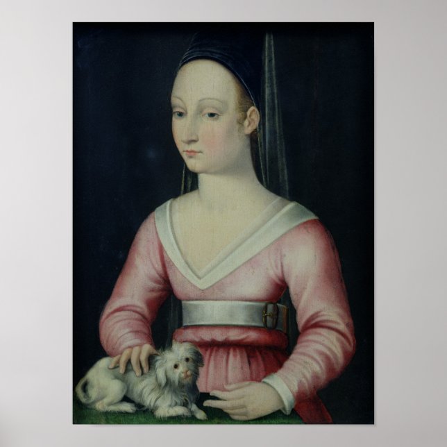 Poster Retrato de Agnes Sorel (Frente)