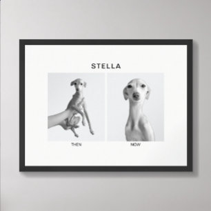 Poster Retrato de Animal de Estimação Personalizado Ant