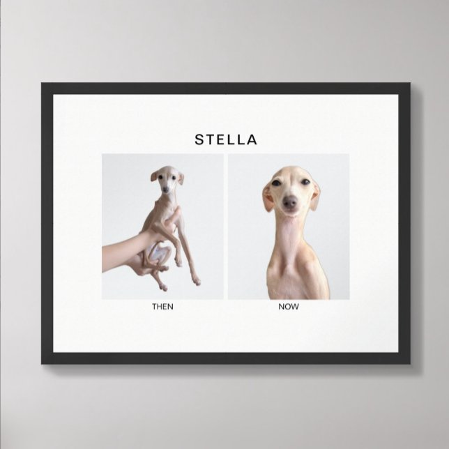 Poster Retrato de Animal de Estimação Personalizado | Ant (Criador carregado)