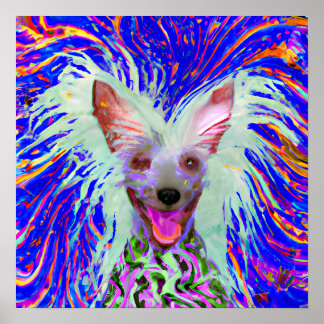 Poster Retrato de Arte Pecada Chinesa Louca
