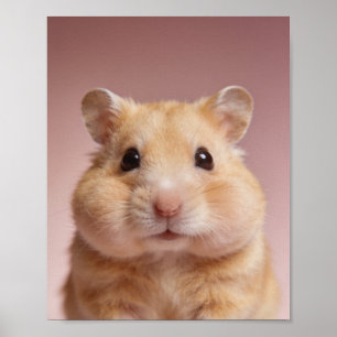 Poster Retrato de Bebê Hamster – Parede de Berçário Fofa