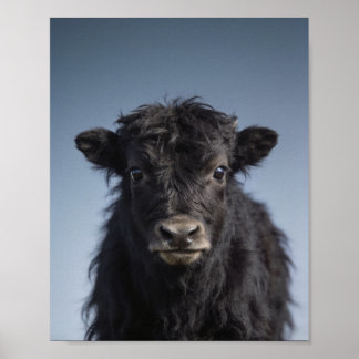 Poster Retrato de Bebê Iaques – Arte de Parede de Animal