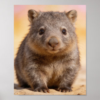 Poster Retrato de Bebê Wombat Arte de Parede para Berçári