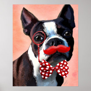 Poster Retrato de Boston Terrier com Arco Vermelho