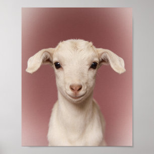 Poster Retrato de Cabrito Arte de Parede para Berçário Al