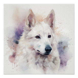 Póster Retrato de Cachorro Branco com Suaves Lavagens de
