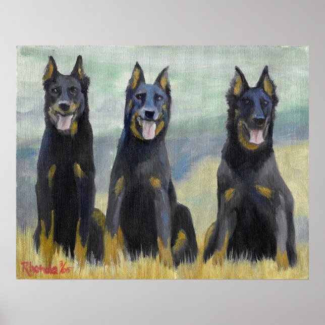 Poster Retrato de Cachorro de Beauceron (Frente)