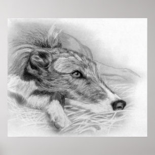 Póster Retrato de Cachorro de Lurcher