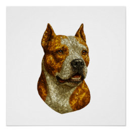 Póster Retrato de Cachorro Pitbull