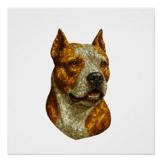 Póster Retrato de Cachorro Pitbull