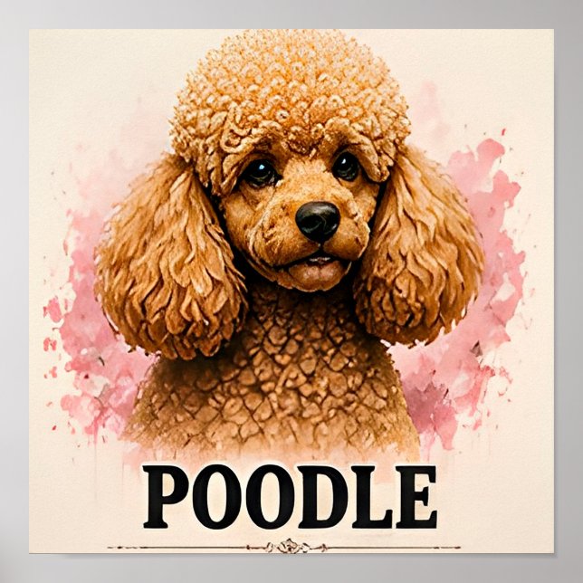 Poster Retrato de Cachorro Premium de Poodle Elegante (Frente)