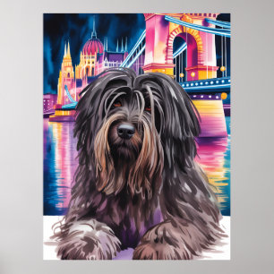 Poster Retrato de Cão Desgrenhado no Cenário Noturno de B