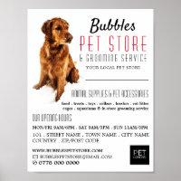 Retrato De Cão, Pet Store E Publicidade Para Cacho
