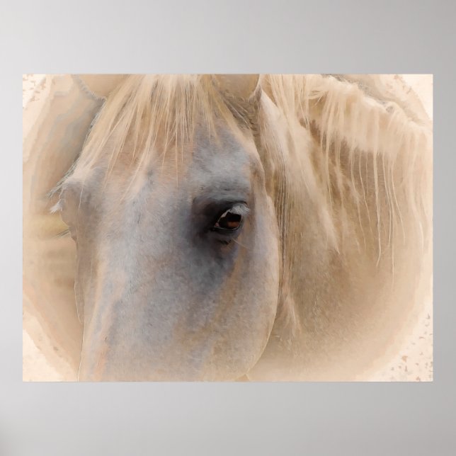 Poster Retrato de Cavalo Branco (Frente)