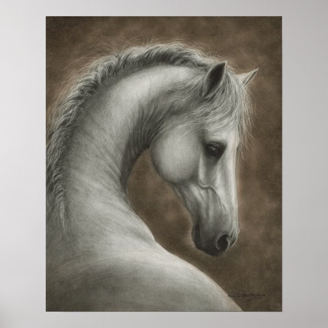 Poster Retrato de Cavalo Branco Pintado à Mão (Frente)