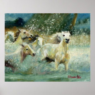 Poster Retrato de Cavalo Carmargue