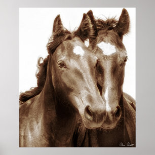 Póster Retrato de Cavalo III