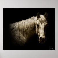 Retrato de Cavalo VI