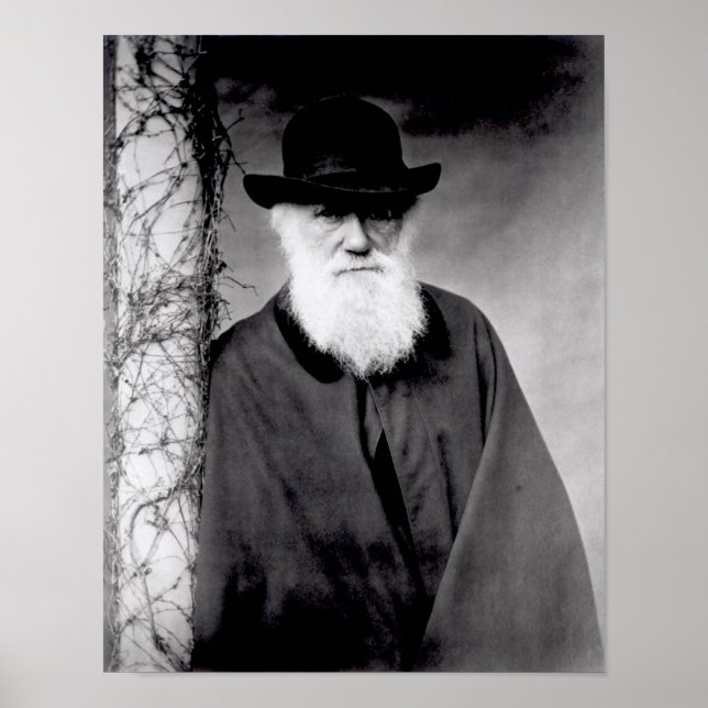 Poster Retrato de Charles Darwin 1881 (Frente)