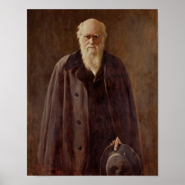 Poster Retrato de Charles Darwin 1883 (Frente)