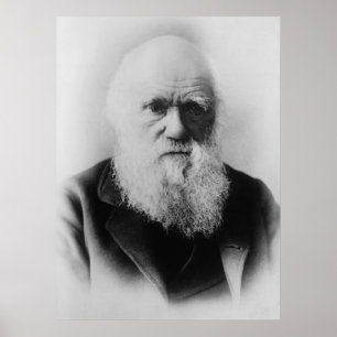 Póster Retrato de Charles Darwin por Elliott e por