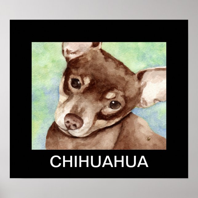 Póster Retrato de Chihuahua (Frente)
