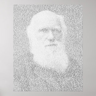 Póster Retrato de Darwin feito do texto "Origem das Espéc