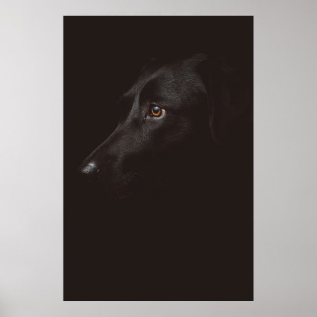 POSTER RETRATO DE DOG (Frente)