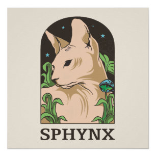 Póster Retrato de Gato Sphynx Desenhado à Mão
