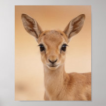 Retrato de Gazela Bebê – Parede de Animal de Berçá