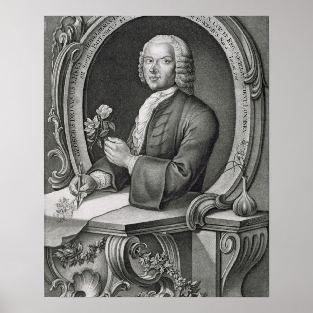 Póster Retrato de Georg Dionysius Ehret (1710-70), gravid (Frente)