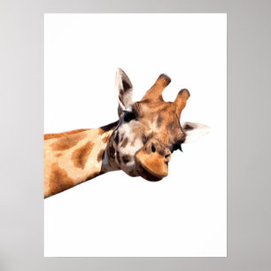 Poster Retrato de girafa animal africano