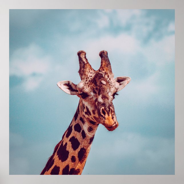 POSTER RETRATO DE GIRAFFE (Frente)