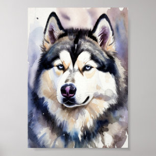 Poster Retrato de Husky Siberiano em Aquarela Arte Fina -