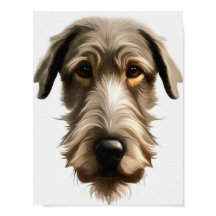 Retrato de Irish Wolfhound isolado em