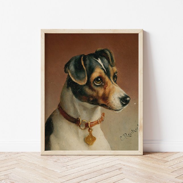 Poster Retrato de Jack Russel Terrier | Carl Reichert (Criador carregado)