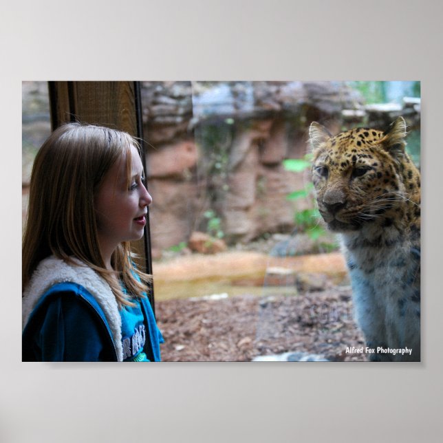Poster Retrato de Leopardo e Criança (Frente)