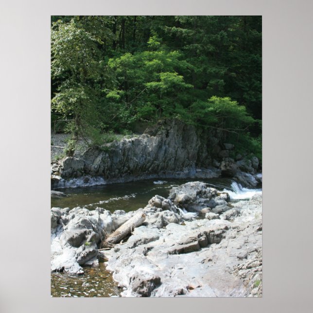 Poster Retrato de Lucia Falls (Frente)