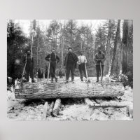 Retrato de Madeireiros, 1890. Foto Antiga