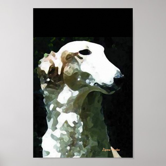 Poster Retrato de Molly (Frente)