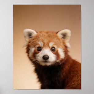 Poster Retrato de Panda Vermelho Bebê – Parede de Animal