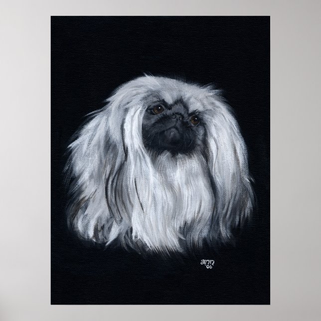 Poster Retrato de Pequinês em Preto e Branco (Frente)